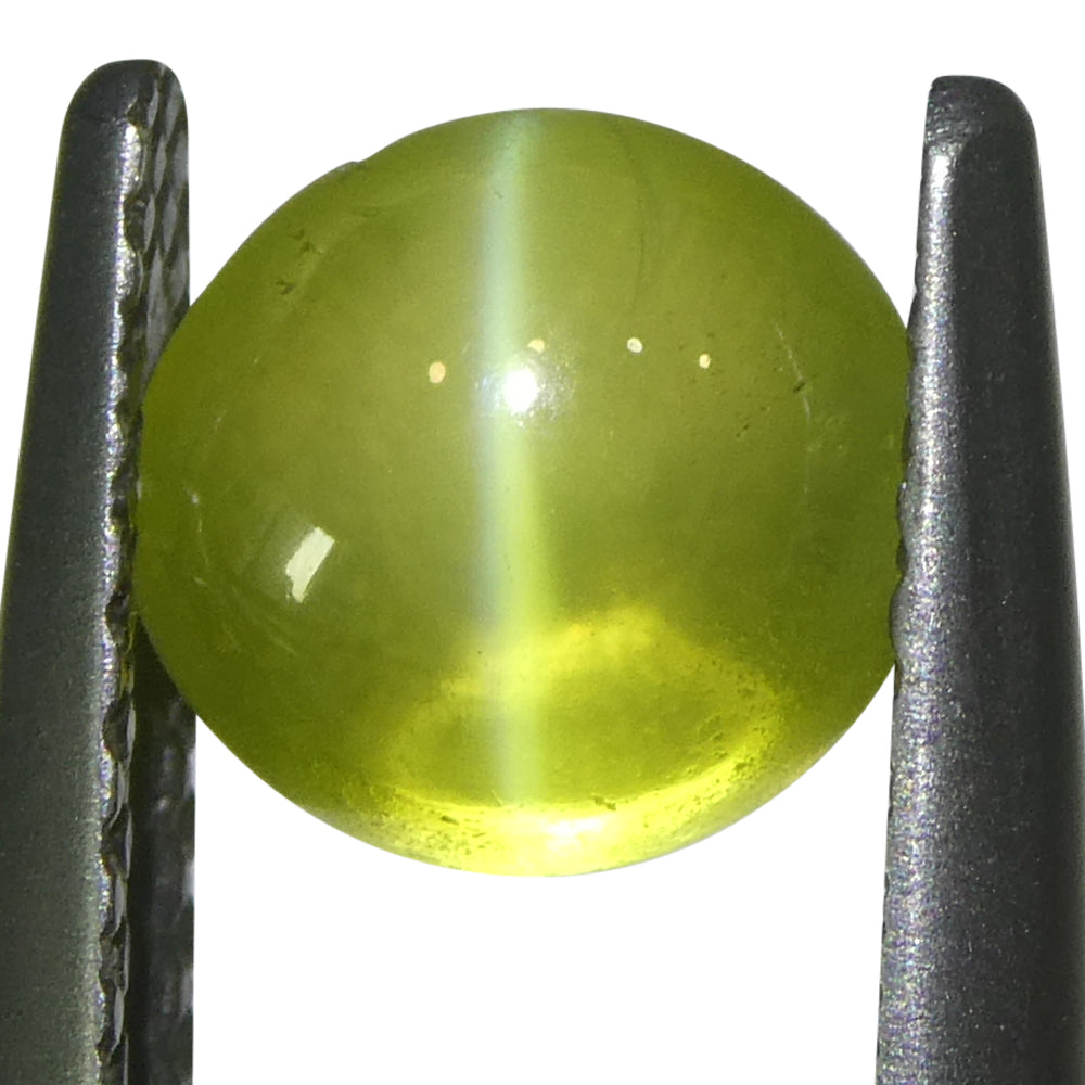 1.55ct Oval Cabochon Greenish Yellow Cats Eye Chrysoberyl from Sri Lanka