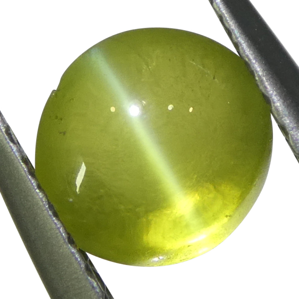 1.55ct Oval Cabochon Greenish Yellow Cats Eye Chrysoberyl from Sri Lanka