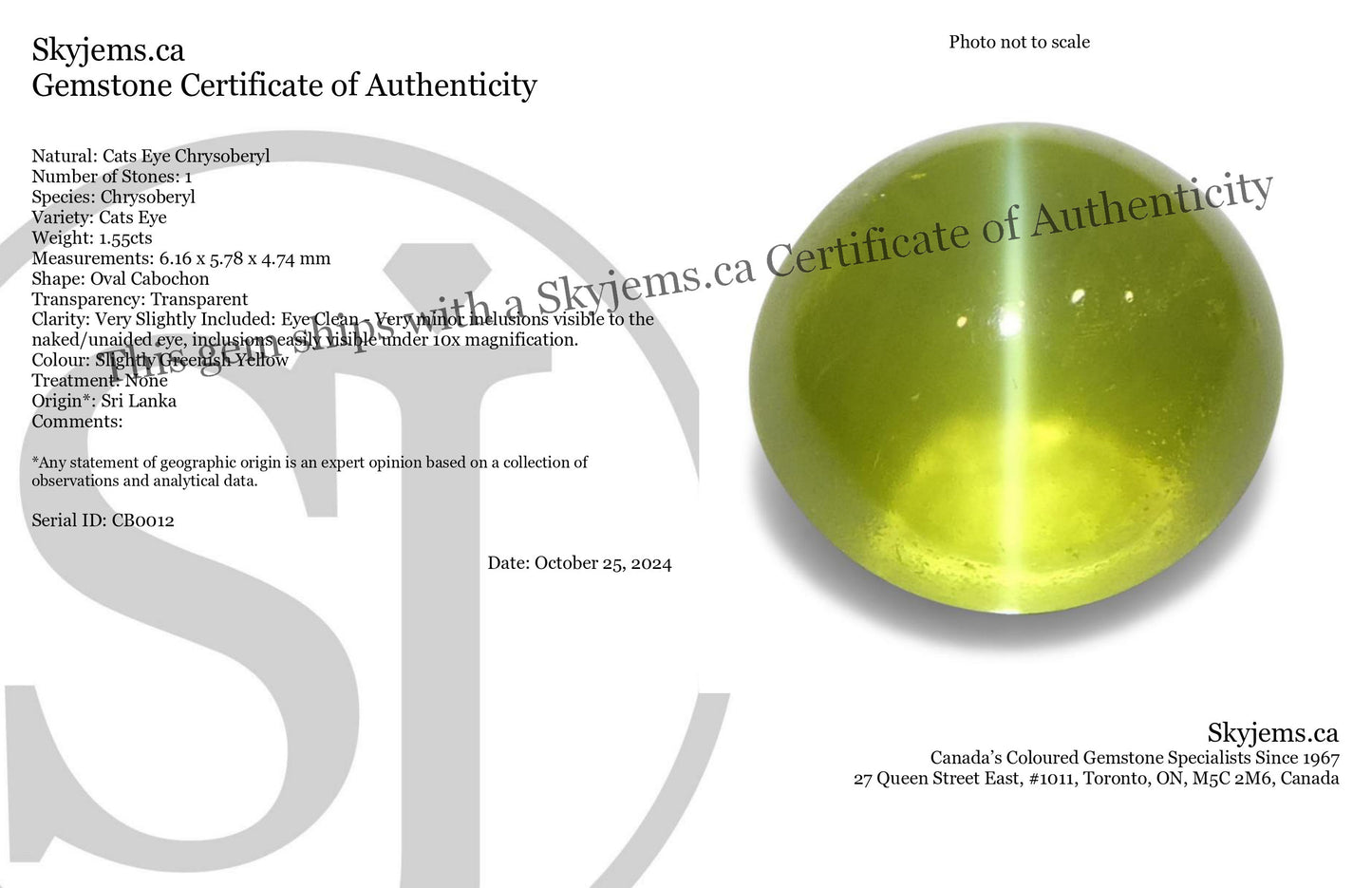 1.55ct Oval Cabochon Greenish Yellow Cats Eye Chrysoberyl from Sri Lanka