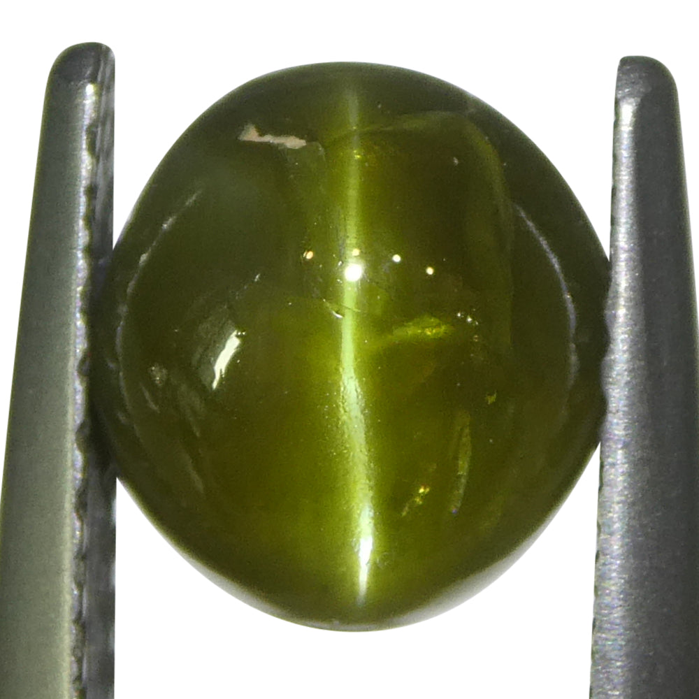 3.02ct Oval Cabochon Yellowish Green Cats Eye Chrysoberyl from Sri Lanka