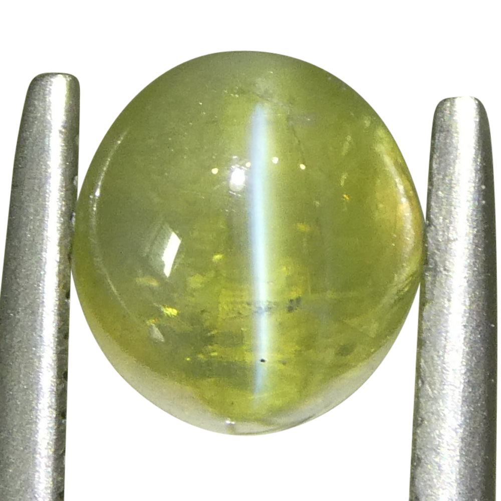 1.06ct Oval Cabochon Greenish Yellow  Cats Eye Chrysoberyl - Skyjems Wholesale Gemstones