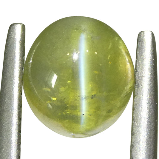 1.06ct Oval Cabochon Greenish Yellow  Cats Eye Chrysoberyl