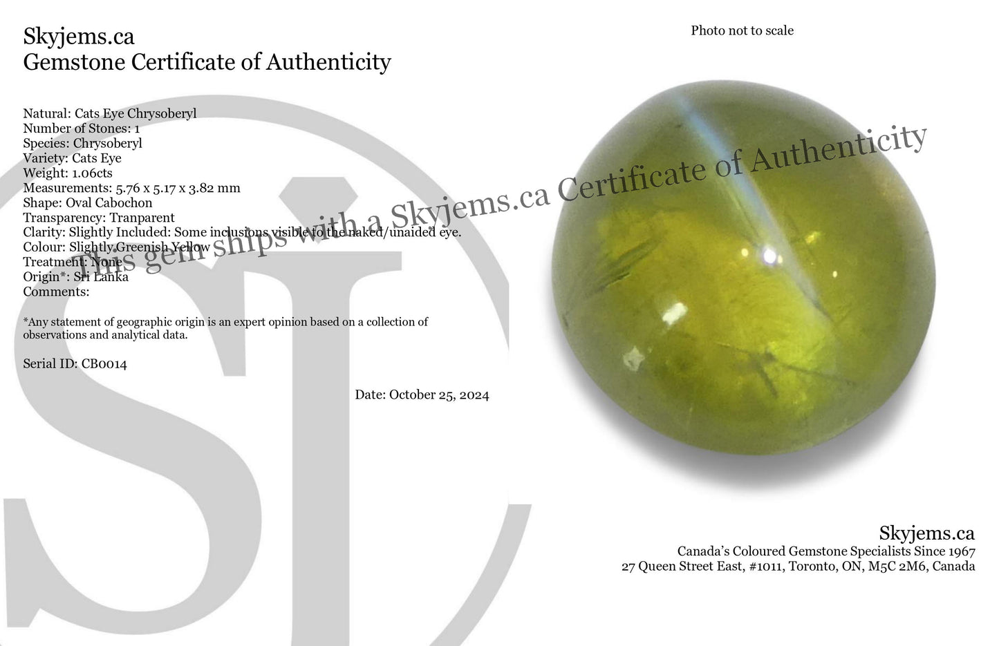 1.06ct Oval Cabochon Greenish Yellow  Cats Eye Chrysoberyl from Sri Lanka