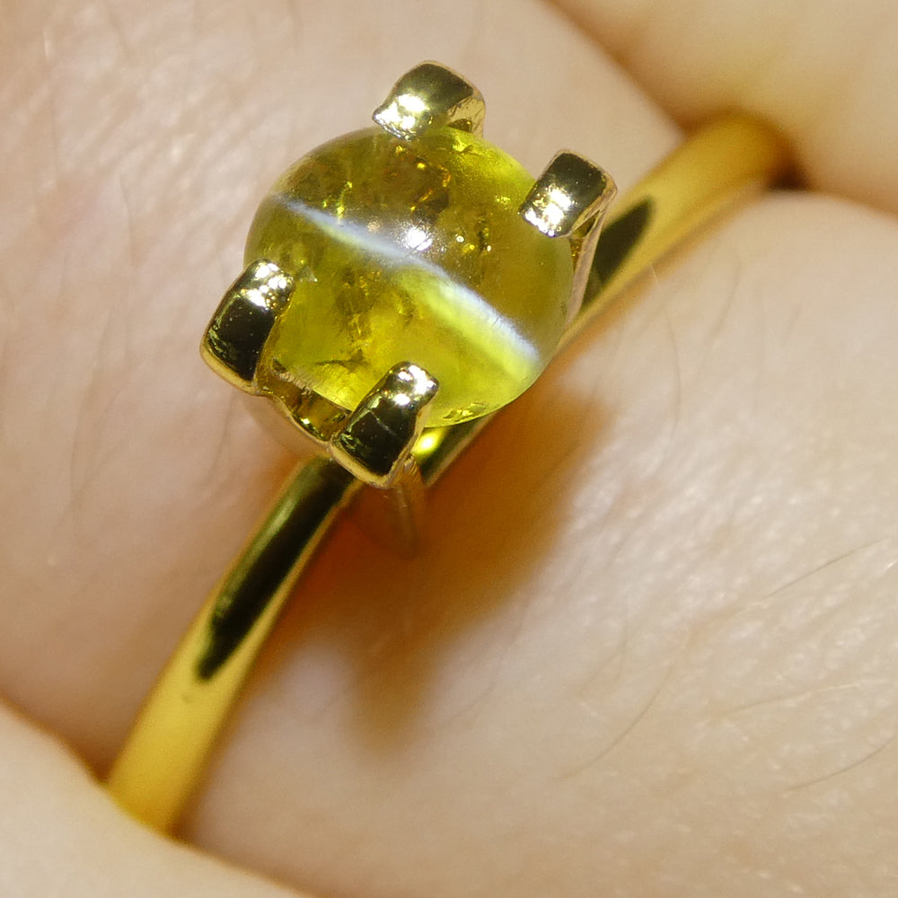 1.04ct Oval Cabochon Greenish-Yellow Cats Eye Chrysoberyl - Skyjems Wholesale Gemstones