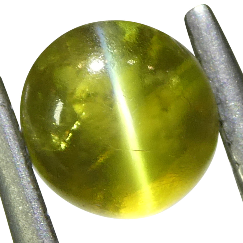 1.04ct Oval Cabochon Greenish-Yellow Cats Eye Chrysoberyl - Skyjems Wholesale Gemstones