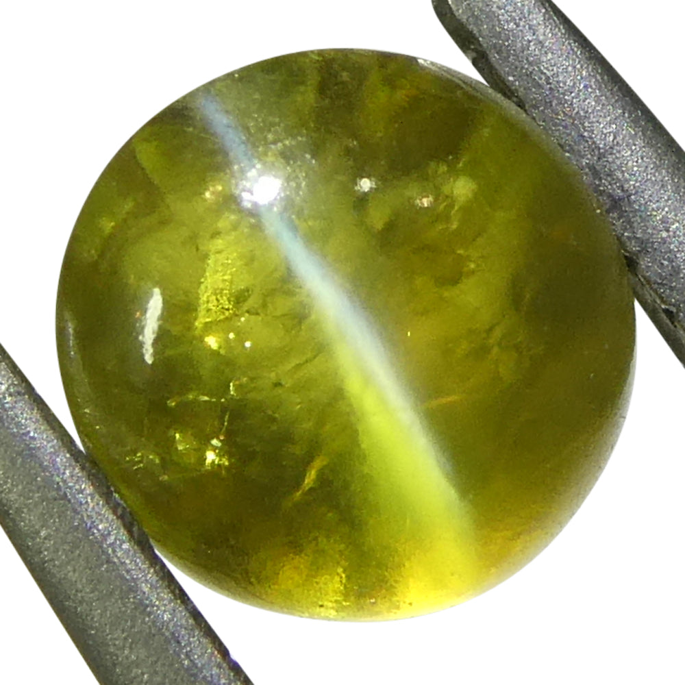 1.04ct Oval Cabochon Greenish-Yellow Cats Eye Chrysoberyl - Skyjems Wholesale Gemstones