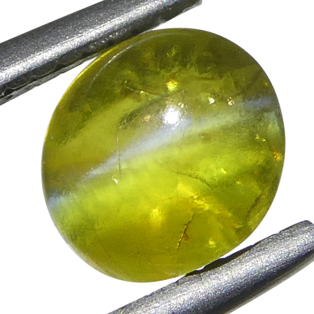 1.04ct Oval Cabochon Greenish-Yellow Cats Eye Chrysoberyl - Skyjems Wholesale Gemstones