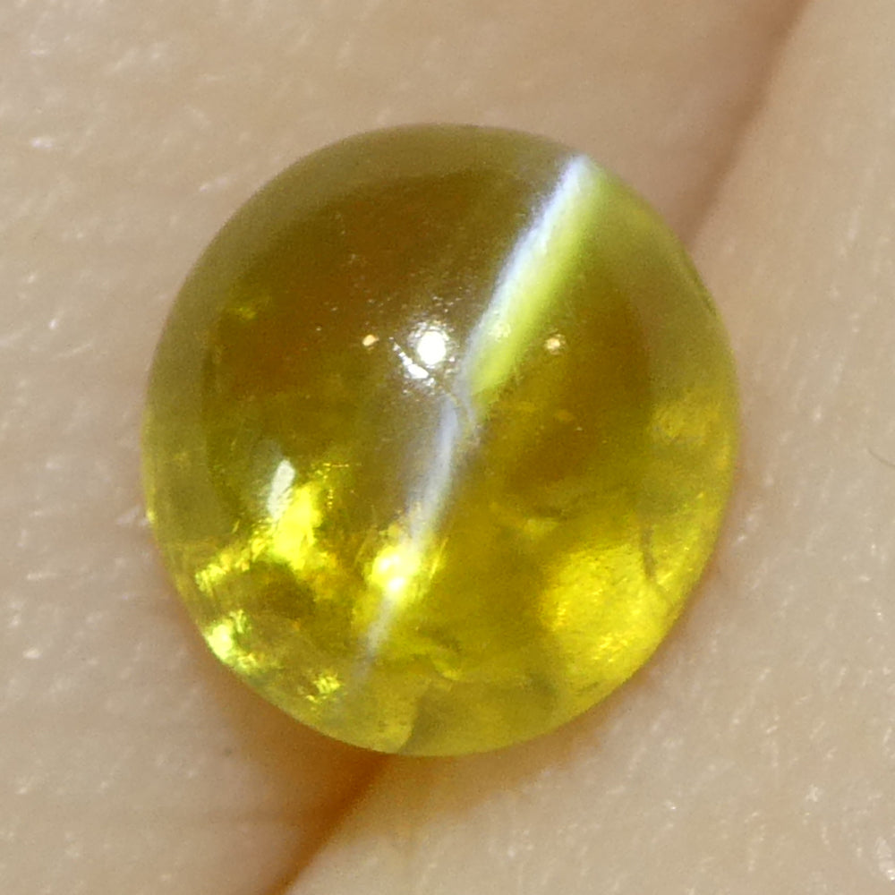 1.04ct Oval Cabochon Greenish-Yellow Cats Eye Chrysoberyl - Skyjems Wholesale Gemstones