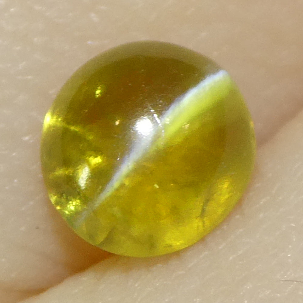 1.04ct Oval Cabochon Greenish-Yellow Cats Eye Chrysoberyl - Skyjems Wholesale Gemstones