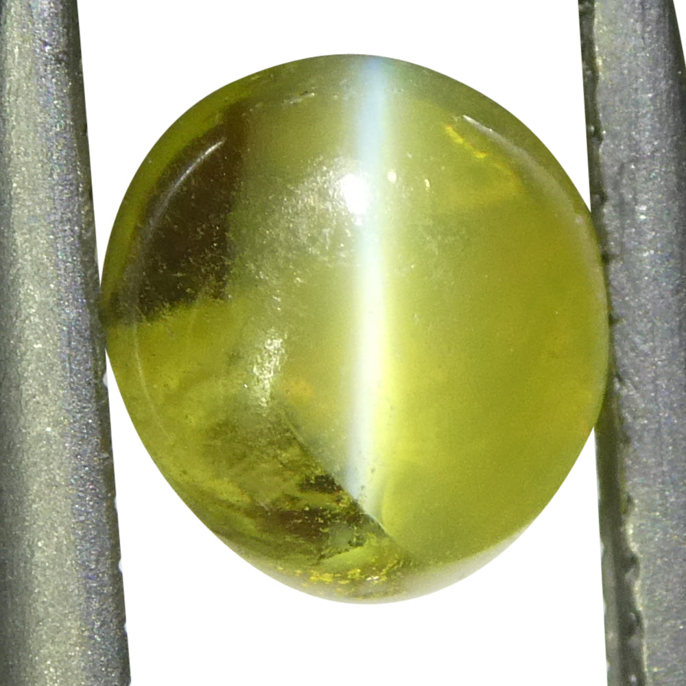 1.05ct Oval Cabochon Greenish Yellow Cats Eye Chrysoberyl - Skyjems Wholesale Gemstones