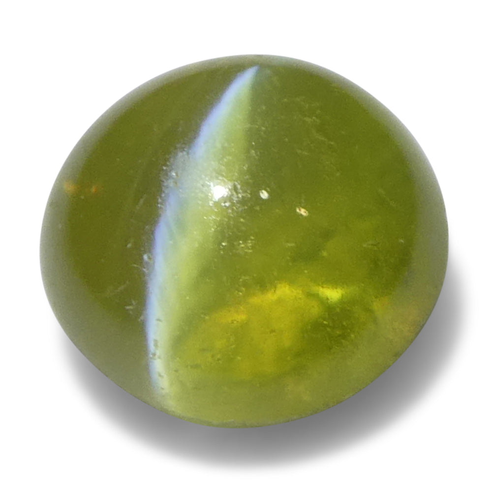 1.02ct Round Cabochon Greenish Yellow Cats Eye Chrysoberyl from Sri Lanka