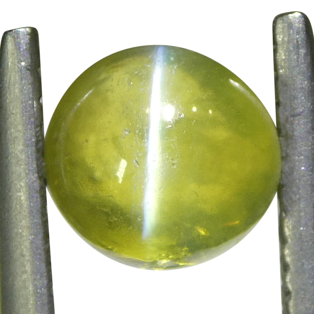 1.02ct Round Cabochon Greenish Yellow Cats Eye Chrysoberyl - Skyjems Wholesale Gemstones