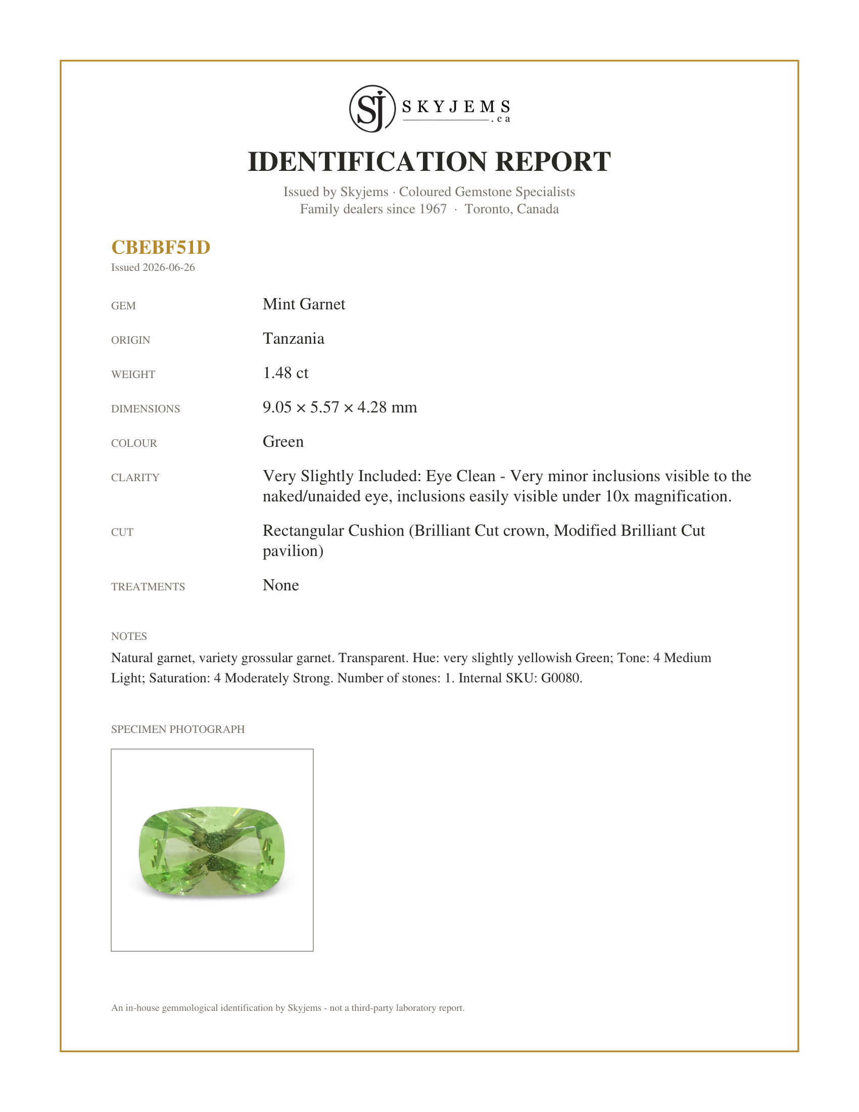 Skyjems Identification Report for G0080 — 1.48ct Rectangular Cushion Green Merelani Mint Tsavorite Garnet from Tanzania