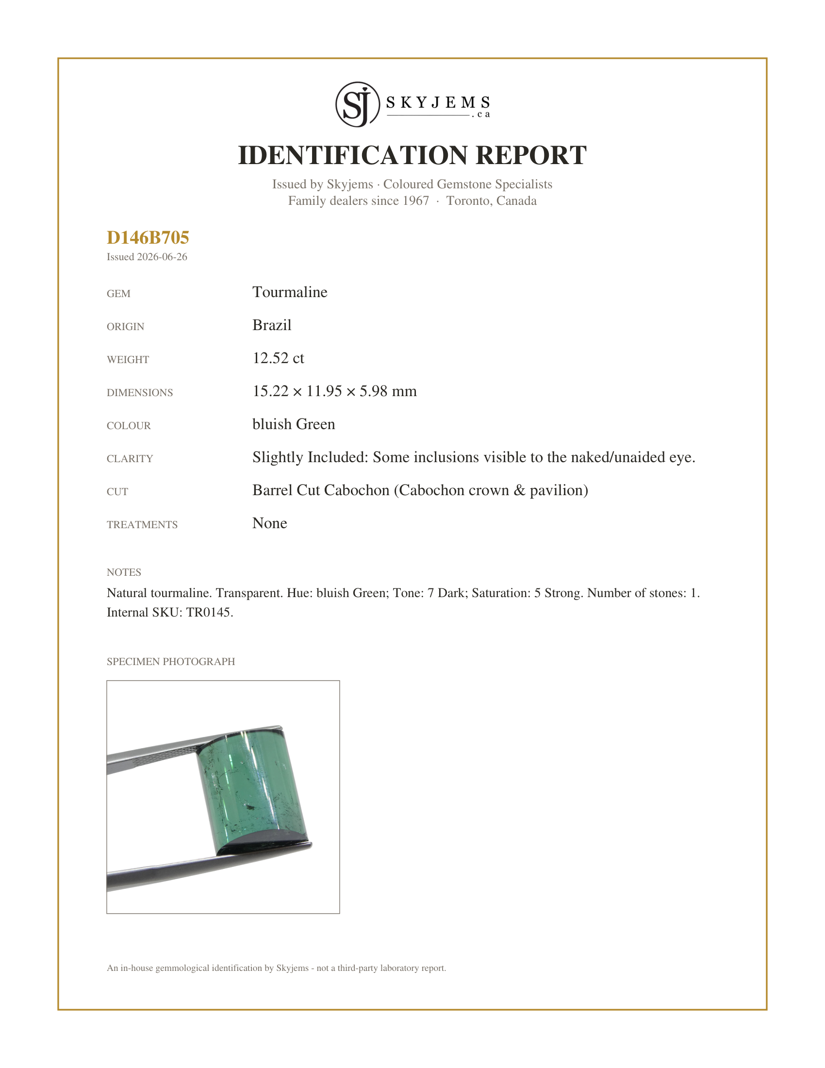 Skyjems Identification Report for TR0145 — 12.52ct Barrel Cut Cabochon bluish Green Tourmaline