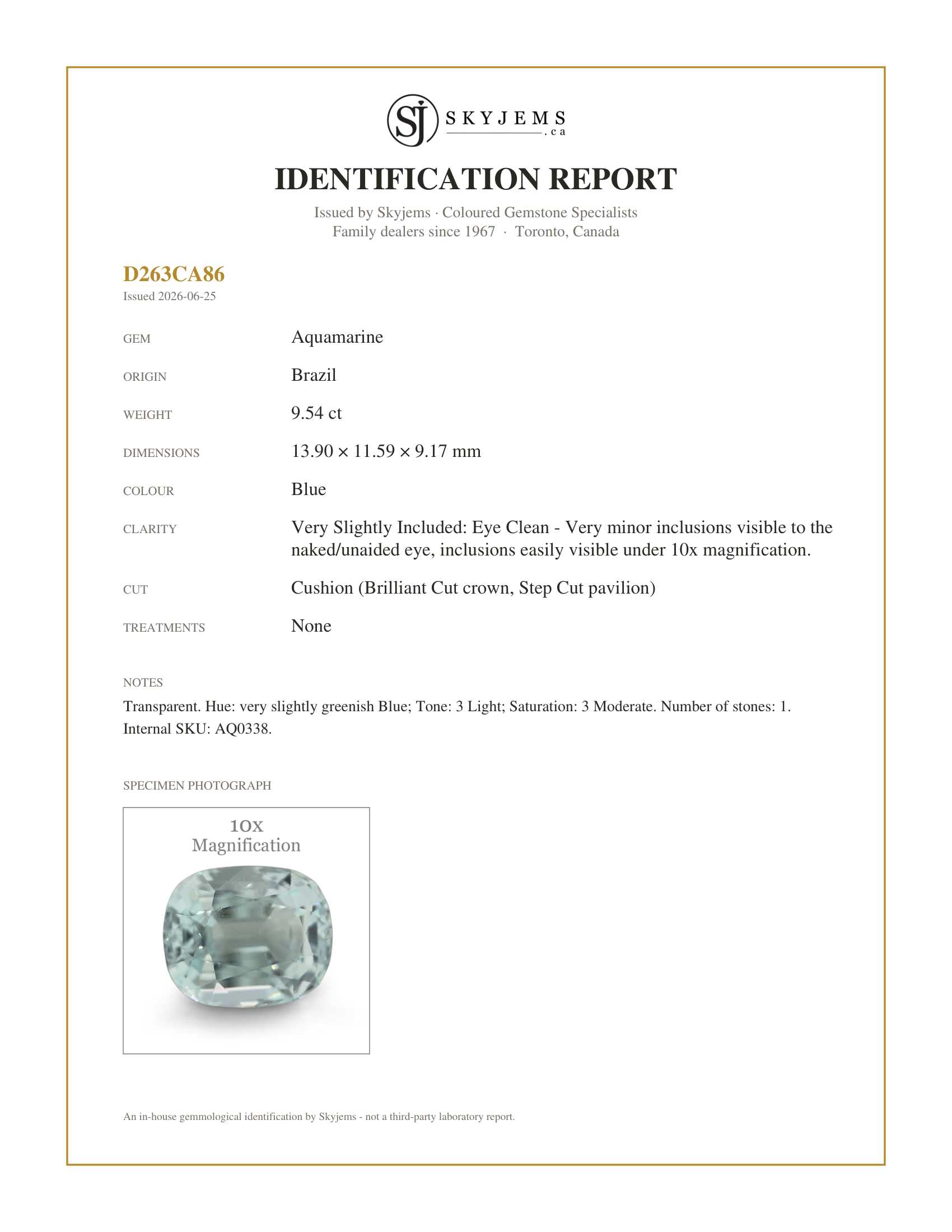 Skyjems Identification Report for AQ0338 — 9.54ct Cushion Aquamarine