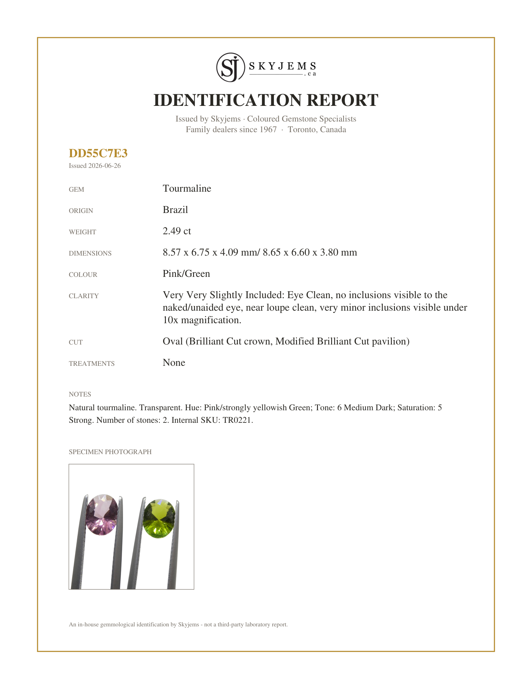 Skyjems Identification Report for TR0221 — 2.49ct Pair Oval Pink/Green Tourmaline