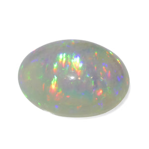 Opal 3.79 cts 13.90 x 9.97 x 5.74 mm Oval White  $950