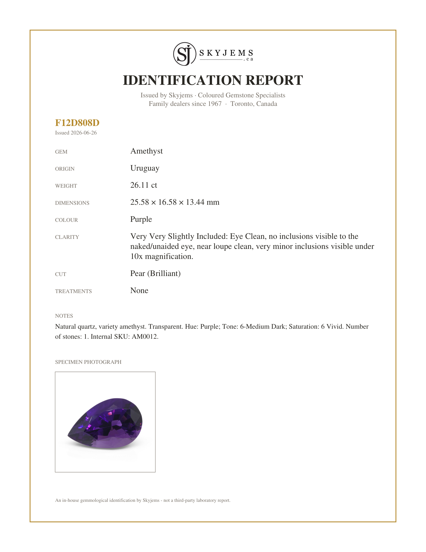 Skyjems Identification Report for AM0012 — 26.11ct Pear Purple Amethyst from Uruguay