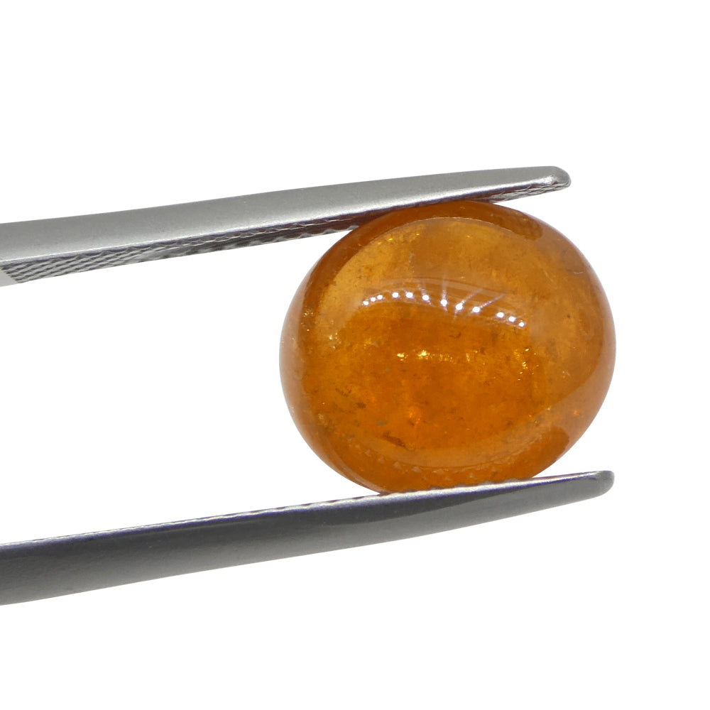 7.69ct Oval Cabochon Orange Spessartine Garnet from Nigeria - Skyjems Wholesale Gemstones