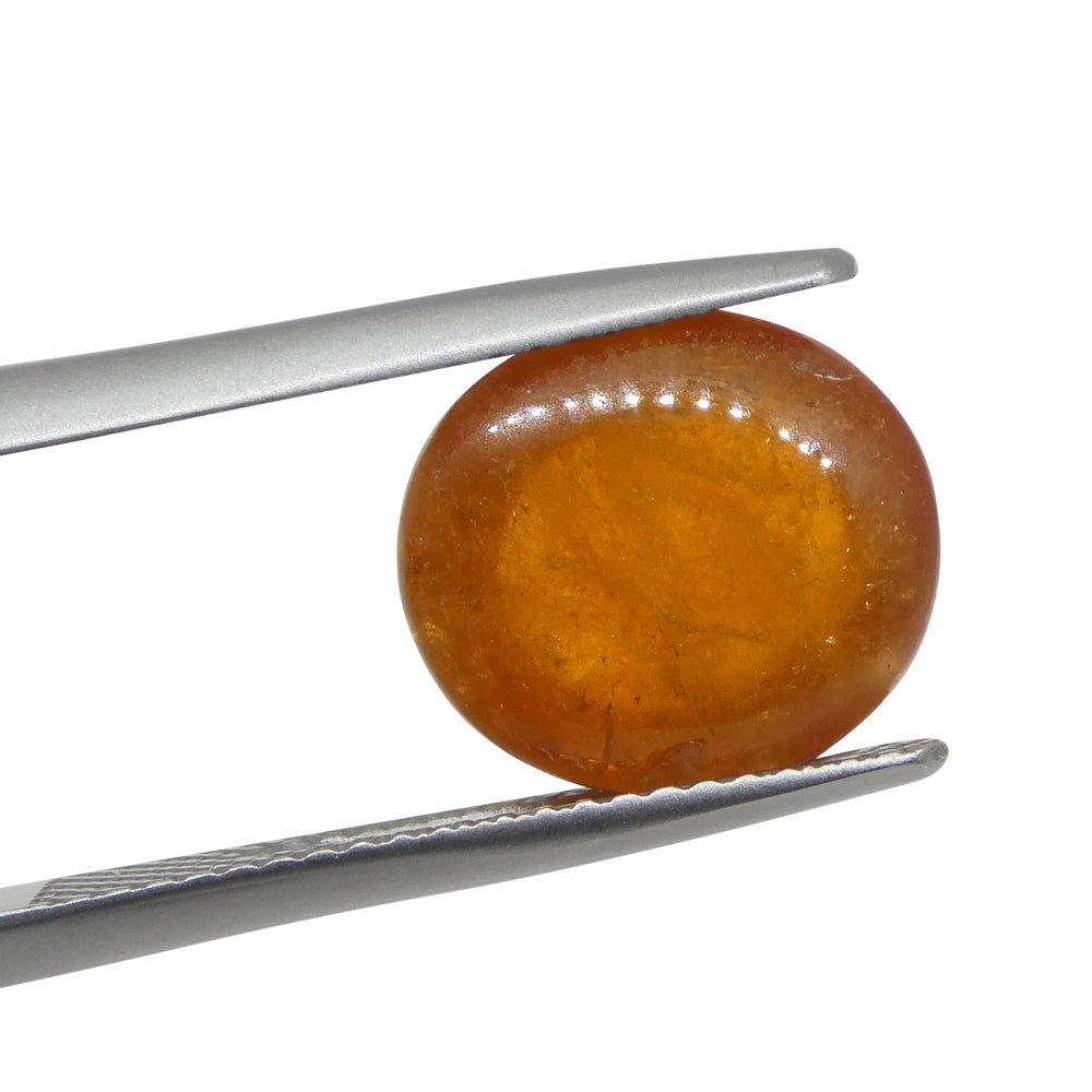 7.69ct Oval Cabochon Orange Spessartine Garnet from Nigeria - Skyjems Wholesale Gemstones