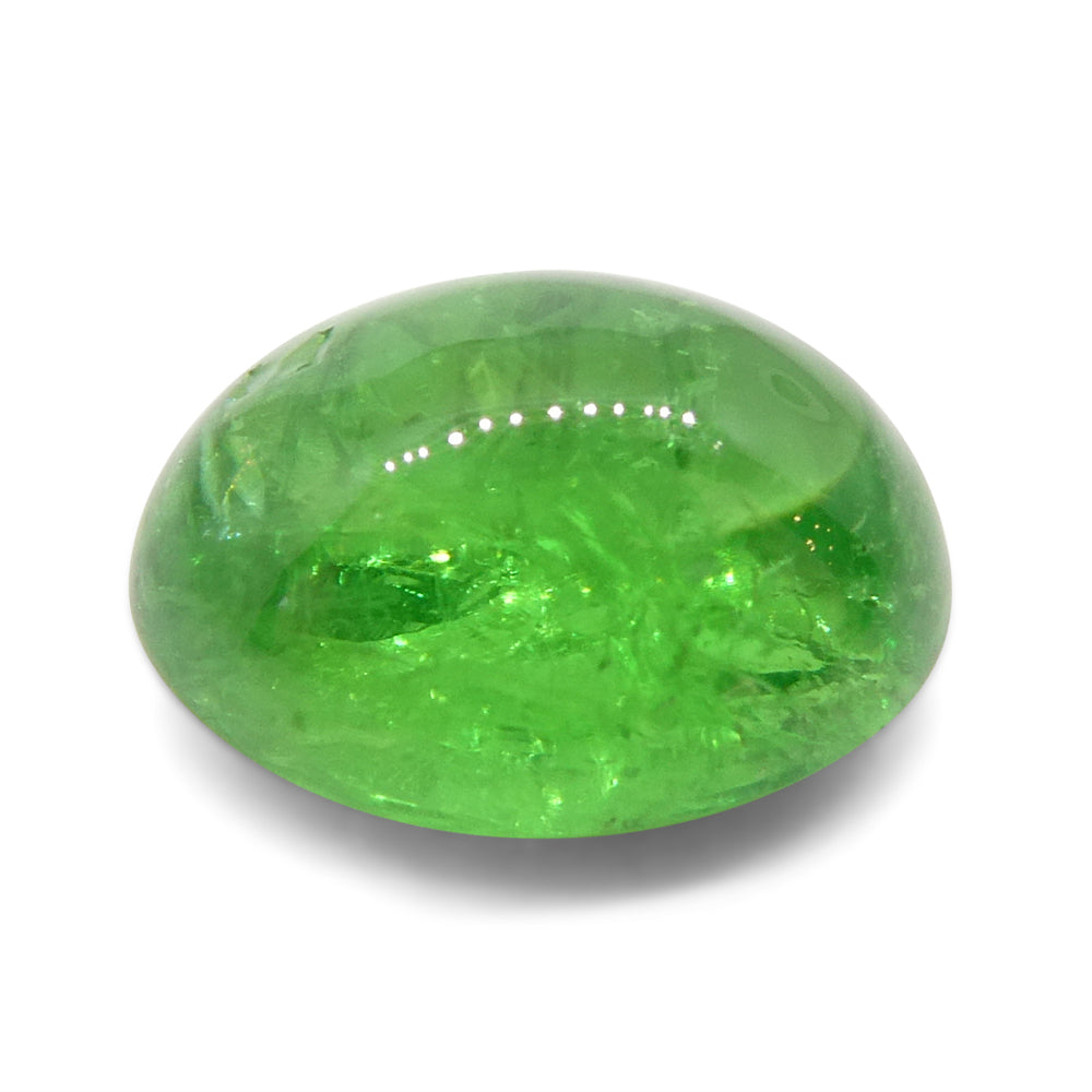 Tsavorite Garnet 2.84 cts 9.09 x 7.13 x 4.86 mm  Oval Green  $460