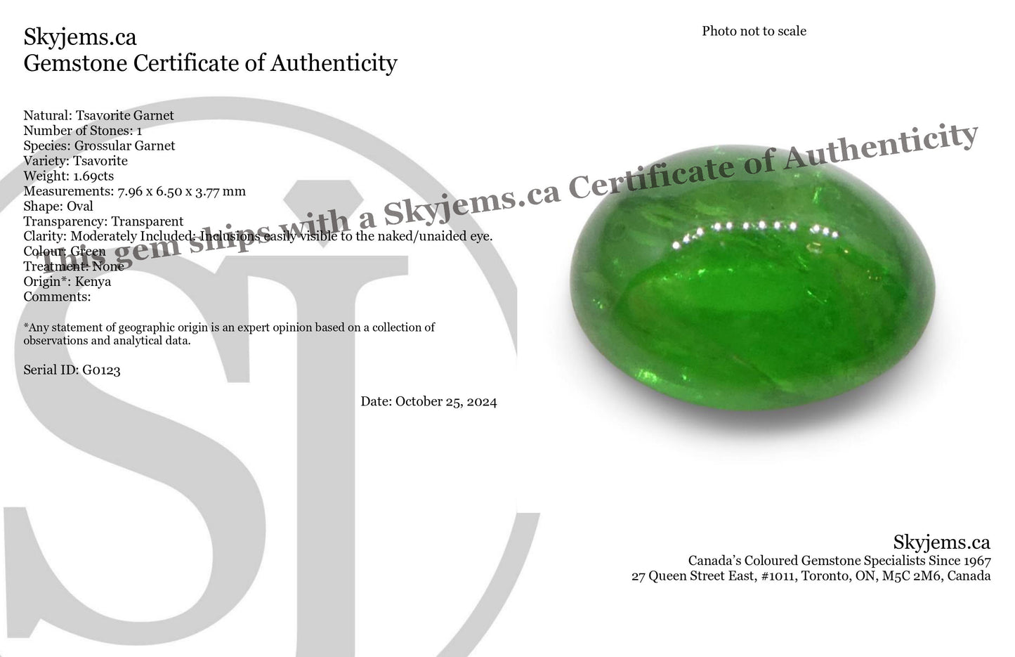 1.69ct Oval Cabochon Green Tsavorite Garnet from Kenya, Unheated