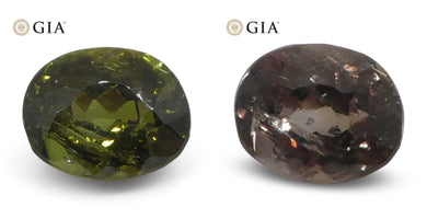 0.95ct Oval Yellowish Green to Yellow-Brown Alexandrite GIA Certified Sri Lanka Unheated - Skyjems Wholesale Gemstones