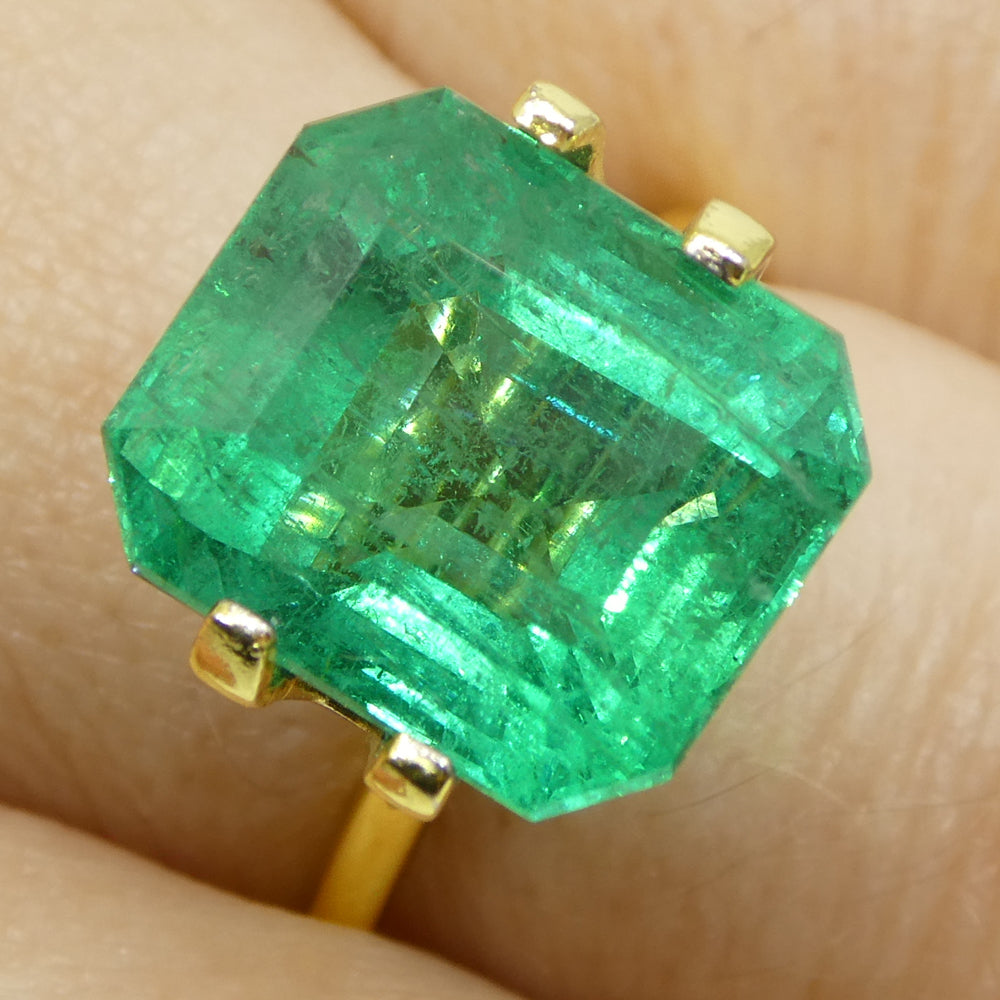 8.82ct Octagonal/Emerald Cut Green Emerald GIA Certified Zambia (F2) - Skyjems Wholesale Gemstones