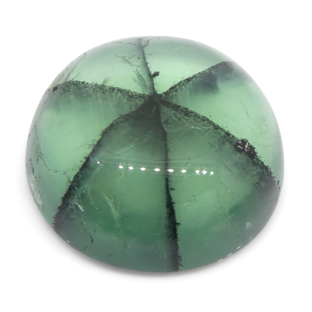 11.08ct Round Green and Black Trapiche Emerald GIA Certified Colombia (F1)