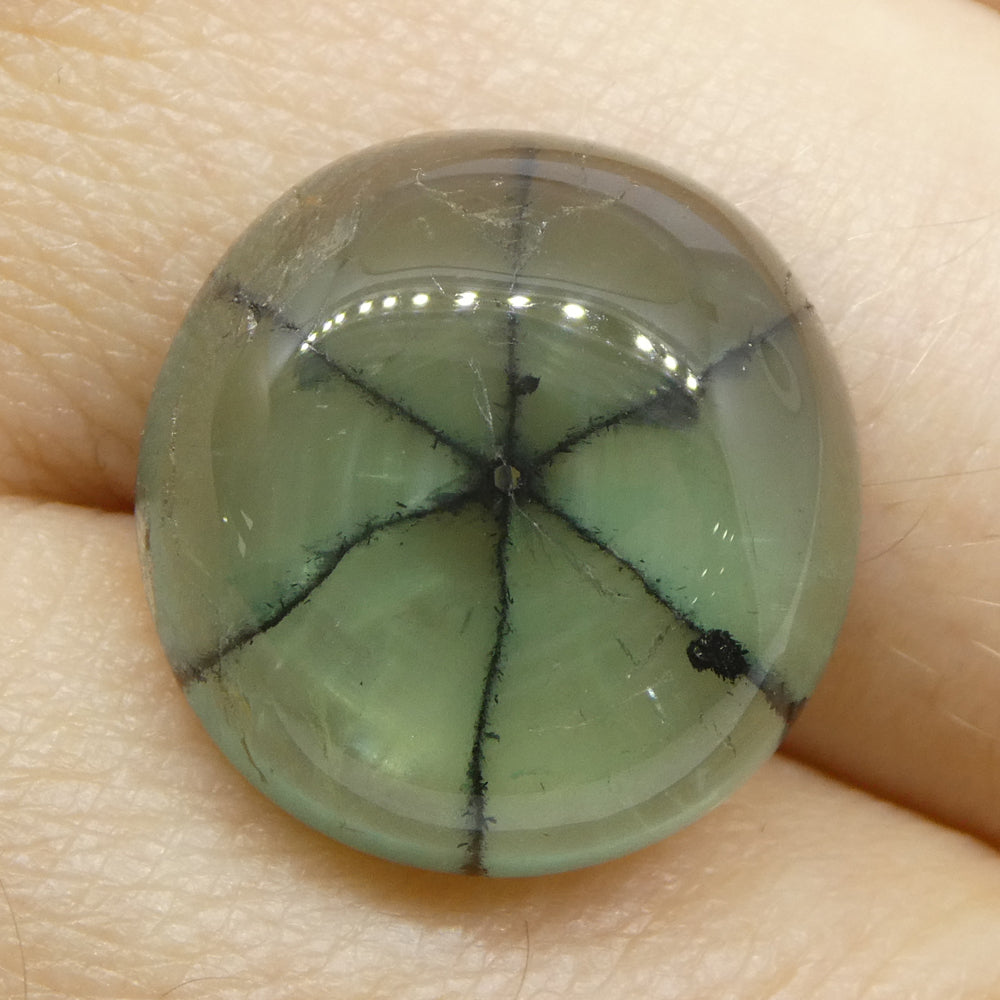11.08ct Round Green and Black Trapiche Emerald GIA Certified Colombia (F1) - Skyjems Wholesale Gemstones