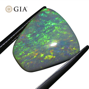 Opal 8.01 cts 16.16 x 14.80 x 5.23 mm NONE Gray  $8000