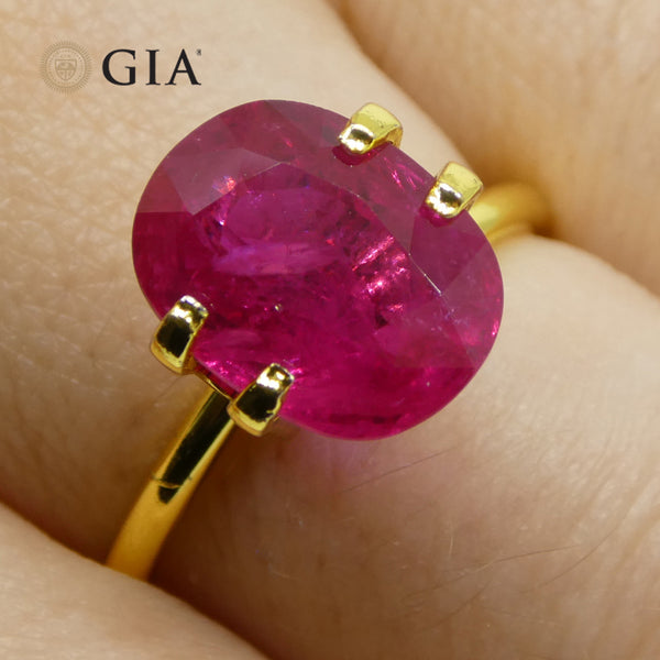 GIAR0141_12_grande.jpg?v=