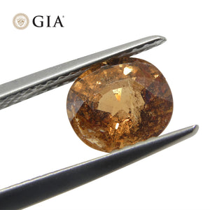 1.96ct Oval Brownish Pinkish Orange Sapphire GIA Certified Madagascar - Skyjems Wholesale Gemstones