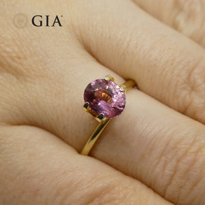 1.60ct Oval Purplish Pink Sapphire GIA Certified Madagascar Unheated - Skyjems Wholesale Gemstones