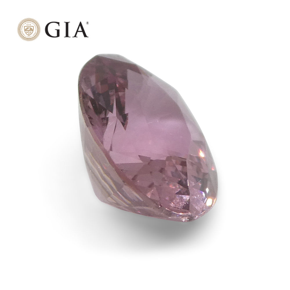 1.60ct Oval Purplish Pink Sapphire GIA Certified Madagascar Unheated - Skyjems Wholesale Gemstones