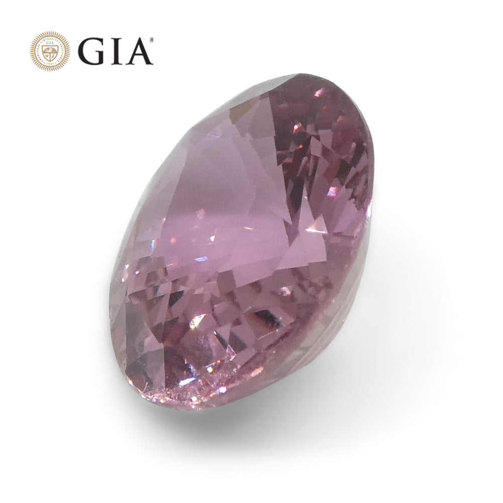 1.60ct Oval Purplish Pink Sapphire GIA Certified Madagascar Unheated - Skyjems Wholesale Gemstones