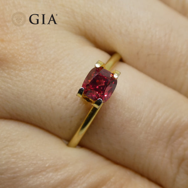 GIASP0021_12_grande.jpg?v=