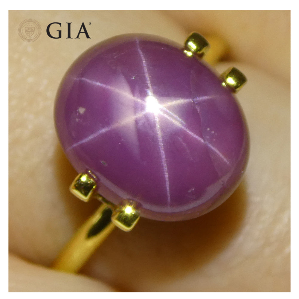 8.12ct Oval Purplish Red Star Ruby GIA Certified Vietnam Unheated - Skyjems Wholesale Gemstones