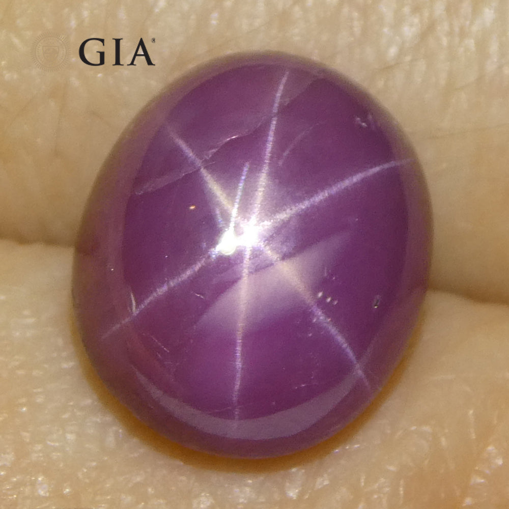 8.12ct Oval Purplish Red Star Ruby GIA Certified Vietnam Unheated - Skyjems Wholesale Gemstones