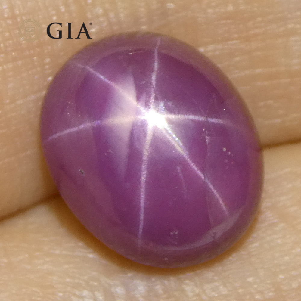 8.12ct Oval Purplish Red Star Ruby GIA Certified Vietnam Unheated - Skyjems Wholesale Gemstones