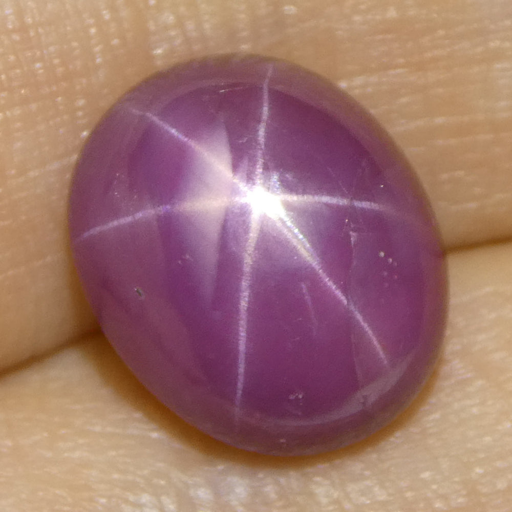 8.12ct Oval Purplish Red Star Ruby GIA Certified Vietnam Unheated - Skyjems Wholesale Gemstones