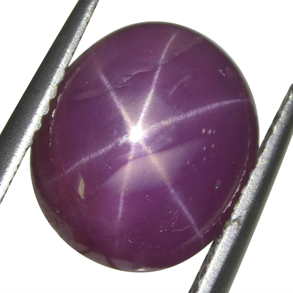 8.12ct Oval Purplish Red Star Ruby GIA Certified Vietnam Unheated - Skyjems Wholesale Gemstones