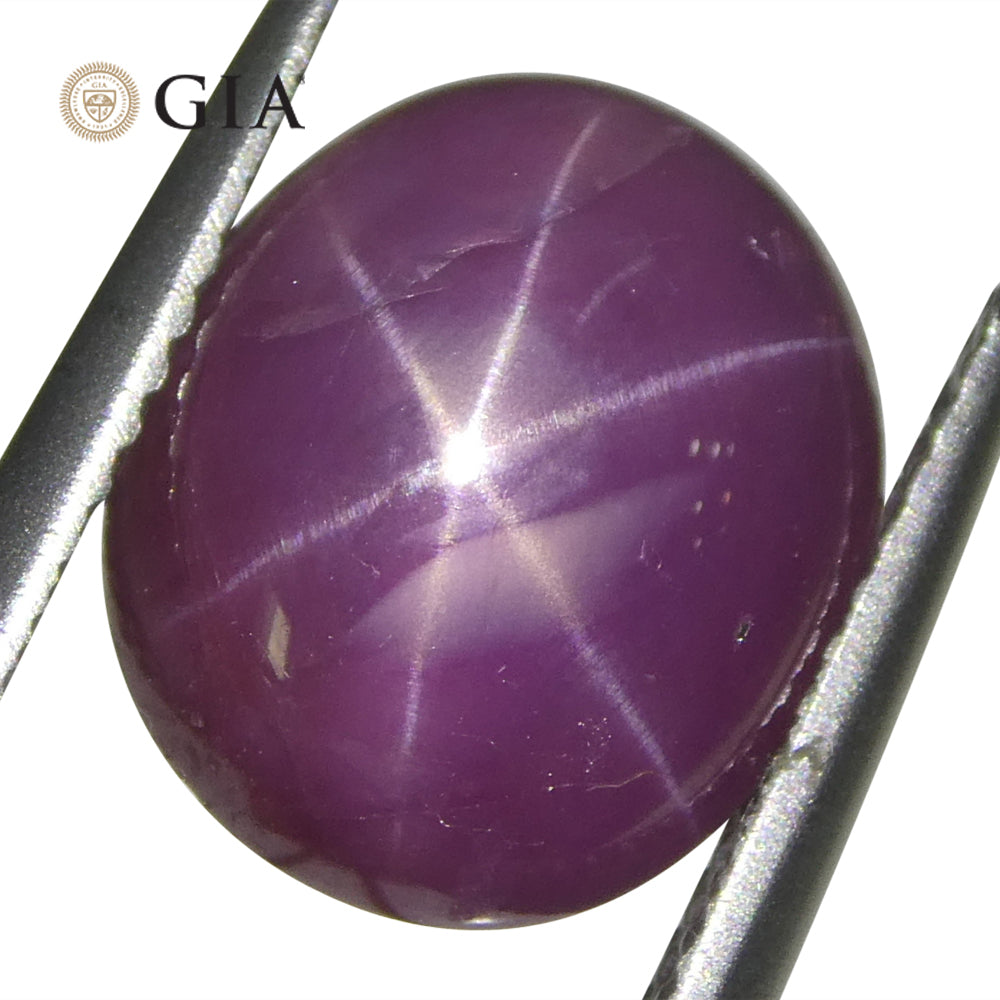 8.12ct Oval Purplish Red Star Ruby GIA Certified Vietnam Unheated - Skyjems Wholesale Gemstones