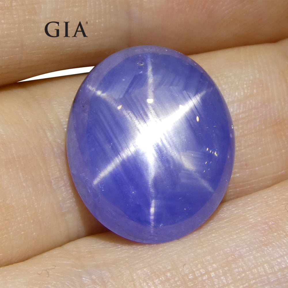 17.72ct Oval Double Cabochon Blue Star Sapphire GIA Certified Sri Lanka Unheated - Skyjems Wholesale Gemstones