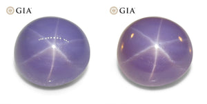 26.92ct Oval Double Cabochon Violetish Blue to Purple Star Sapphire GIA Certified Sri Lanka - Skyjems Wholesale Gemstones
