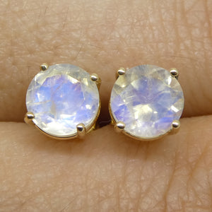 1.81ct Round Rainbow Moonstone Stud Earrings set in 14k Yellow Gold - Skyjems Wholesale Gemstones