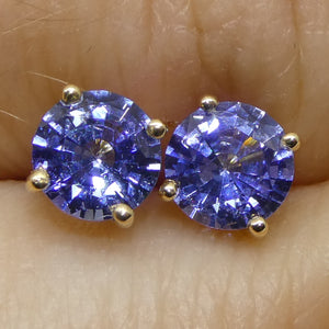 0.79ct Pair Round Blue Sapphire Stud Earrings set in 14k Yellow Gold