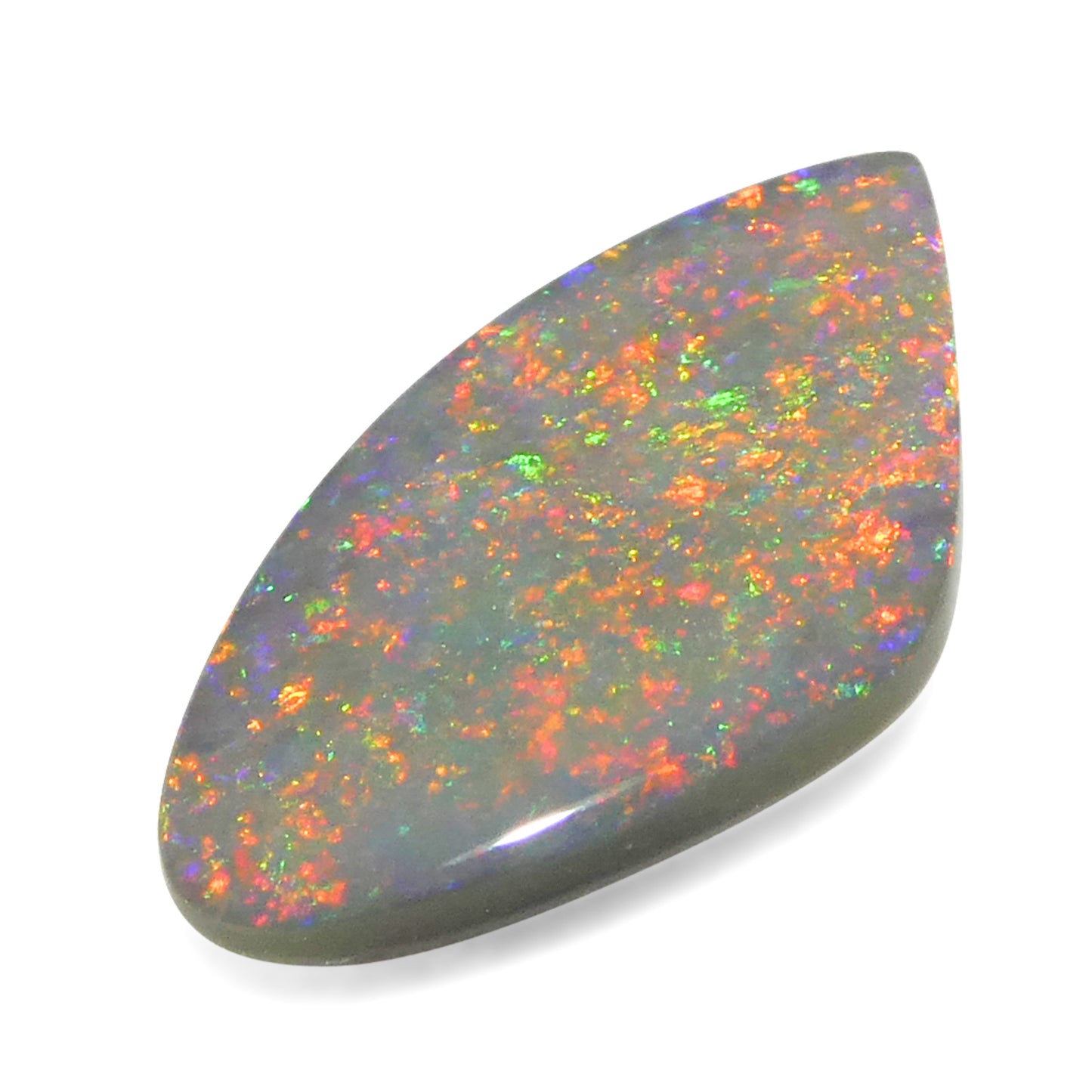 1.7ct Freeform Cabochon Gray Opal from Australia - Skyjems Wholesale Gemstones