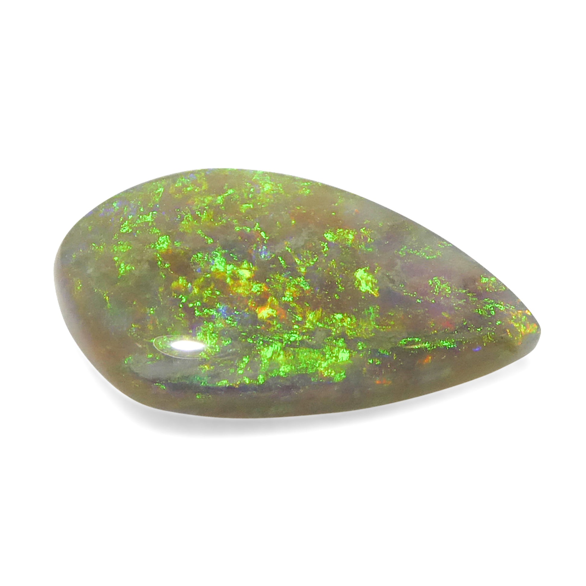 Opal 3.12 cts 16.31 x 9.41 x 3.52 mm Freeform Gray  $1000