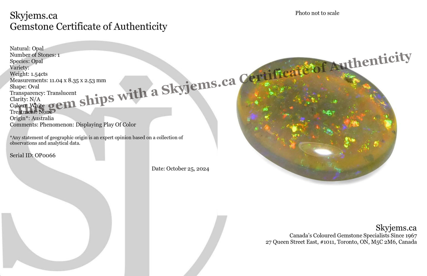 1.54ct Oval Cabochon White Opal from Australia